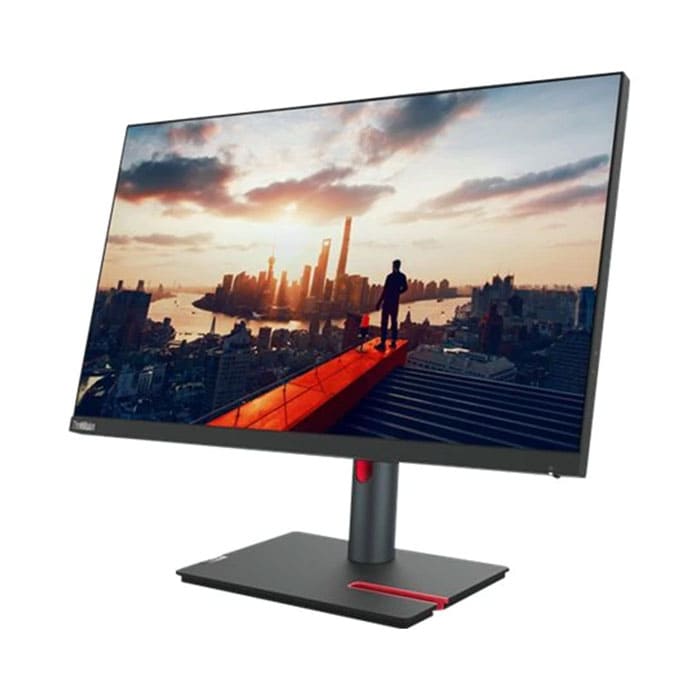 P24h-30 Monitor-HDMI